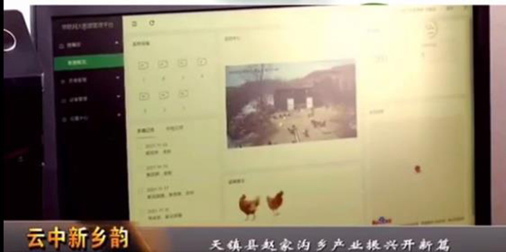 智慧养鸡案例介绍:山西正芪山鸡养殖项目,互联网+溯源认养