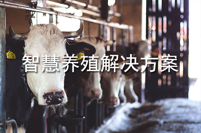 政府监管