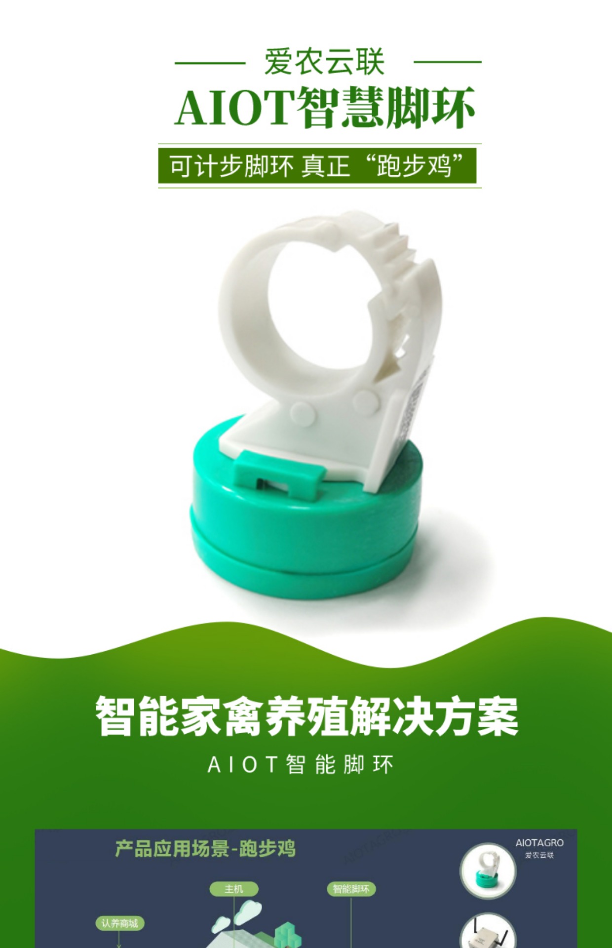 牧云供应链的AIOT智慧鸡脚环-可计步的跑步鸡脚环