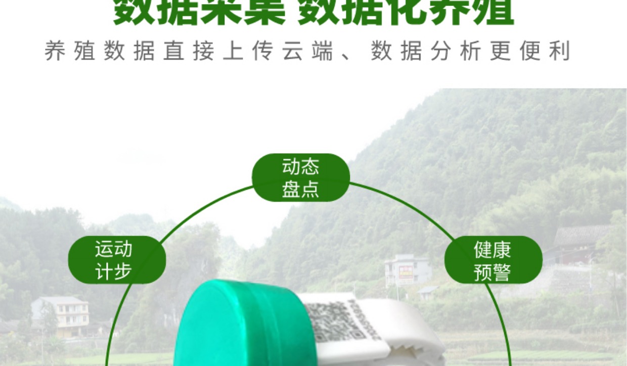 牧云供应链的AIOT智慧鸡脚环-可计步的跑步鸡脚环