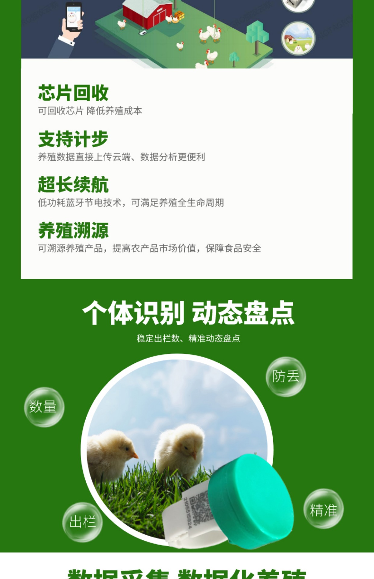 牧云供应链的AIOT智慧鸡脚环-可计步的跑步鸡脚环