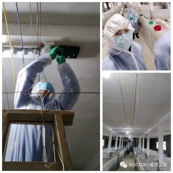 牧云供应链智慧养猪解决方案正式入驻正邦集团