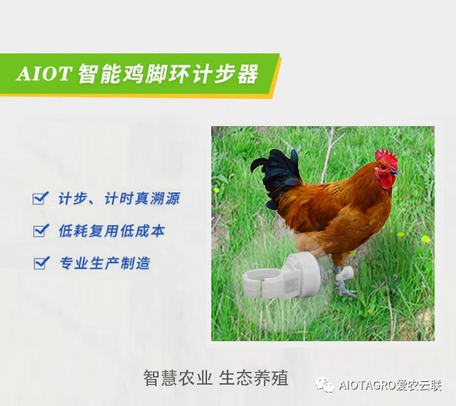 牧云供应链助力地方政府及养殖户打造区域品牌，加速区域产业化发展